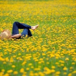 Kathryn Wheat